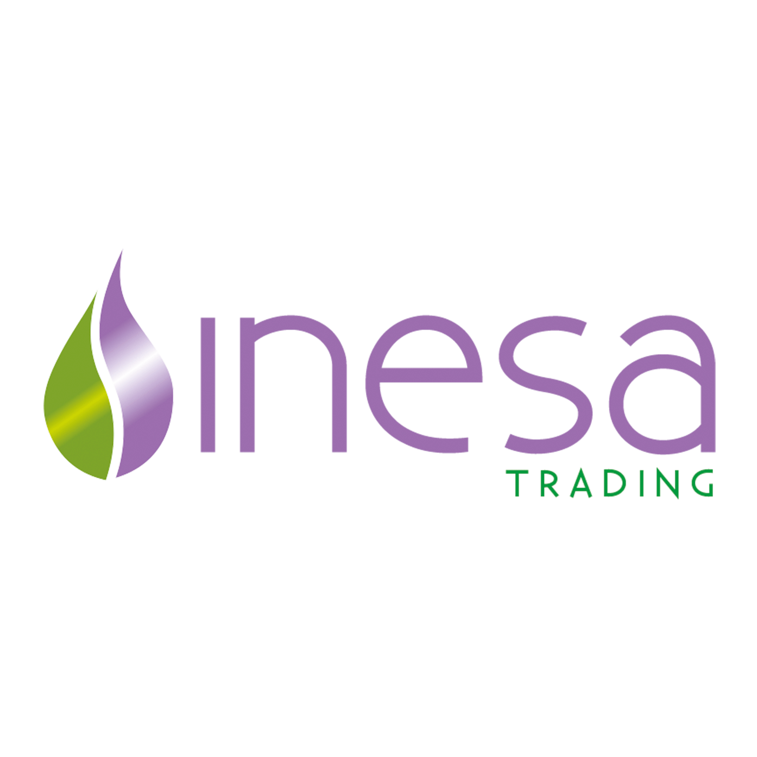 INESA